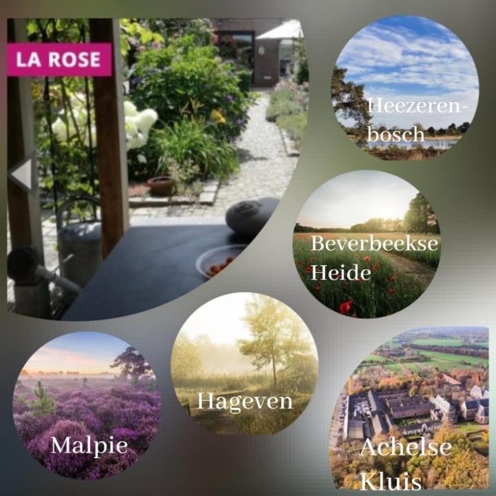 Bed and Breakfast La Rose Pelt Экстерьер фото